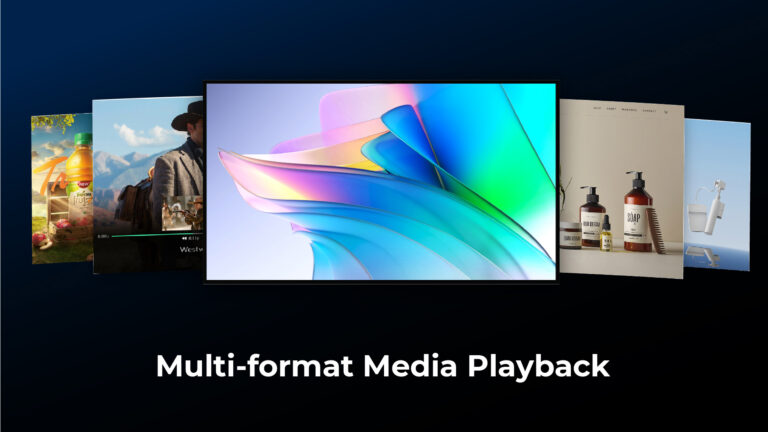 Multi-format media playback